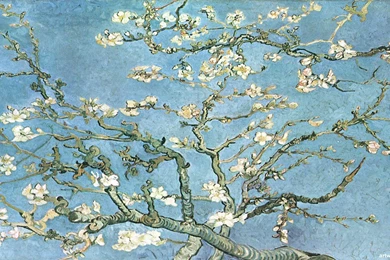 Van Gogh Wallpapers