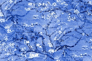 Cobalt Blue Wallpapers   Wallpapers Zone