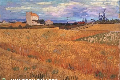 Van Gogh Wheatfields Wallpaper, Wheat Fields Wallpapers