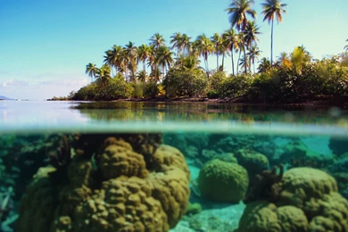 Nature Wallpaper: Beautiful Nature Phone Wallpapers Wallpapers HD ...