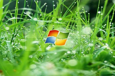 3d desktop hd wallpaper for windows 8