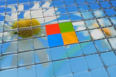 3D Natural Windows 8 Wallpapers