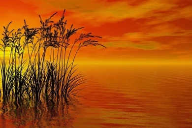Windows 8 Wallpapers 3D Sunset Render