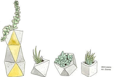 Wallpapers Plants —