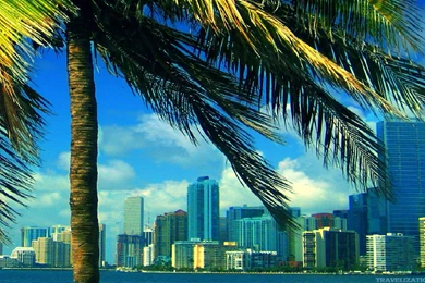 Miami Wallpapers: The City Skyline Across The Beach