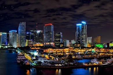 Quotes About Miami Views. QuotesGram