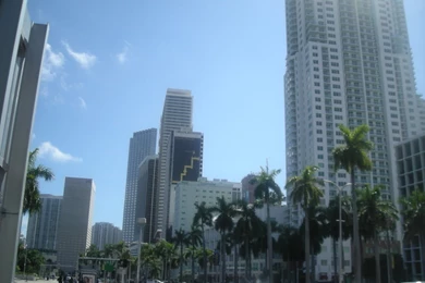 Downtown Miami Photo By BarbaraO_photos