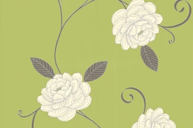 Lime Green Wallpapers