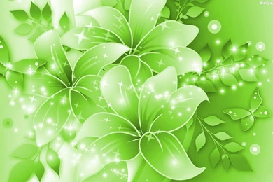 10+ High Res Beautiful Green Floral Wallpapers Patterns