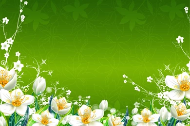 Download Green Flowers Wallpapers 1600x1250