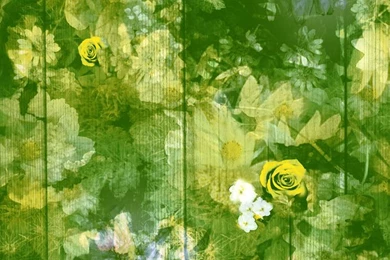 Regents Fresh Floral Wallpapers (fresh Green)   ATADesignsATADesigns