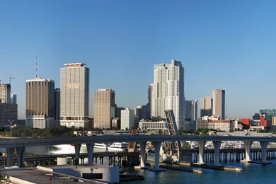 Miami   Familypedia   Wikia