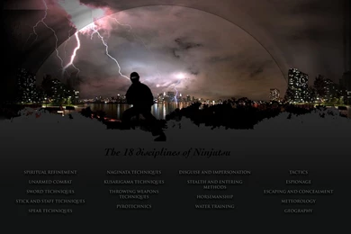 Ninjutsu Wallpapers   Wallpapers Cave