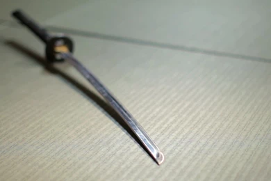 How A Shield Is Used In Ninjutsu