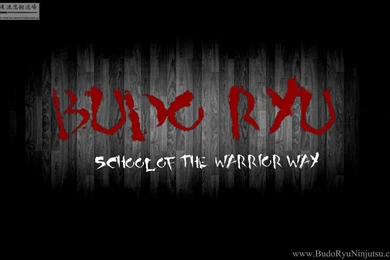 Authentic Ninjutsu & Traditional Samurai Budo, Bujutsu, Martial ...