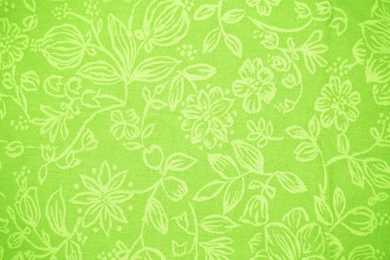 Lime Green Fabric With Floral Pattern Texture Free High Resolution ...