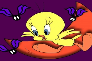 Desktop Wallpapers Free Download Collection (30+)