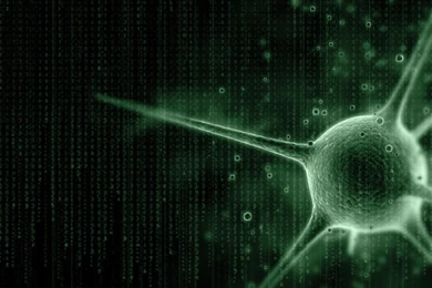 Matrix Desktop Backgrounds Wallpapers   Mbagusi.com