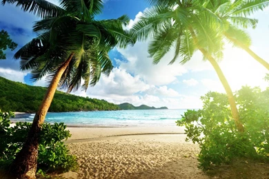 Desktop Backgrounds Exotic Island Photo 8   Free Wallpapers Party