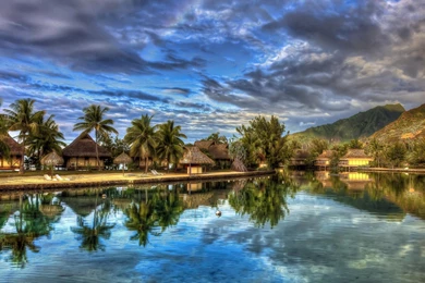 Exotic Desktop Backgrounds Of Exotic Places How To Plant Bird Of ...