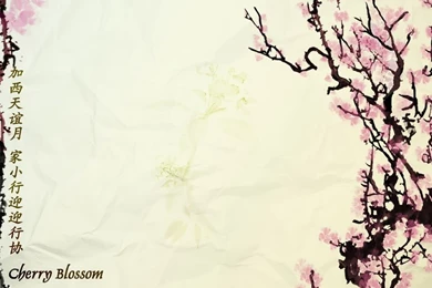 Japanese Cherry Blossom Art Wallpapers