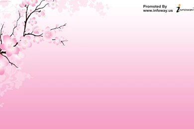 Blossoms Flower Wallpapers   Photo 101 Of 329