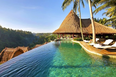 Nature, Landscape, Swimming Pool, Palm Trees, Resort, Forest ...