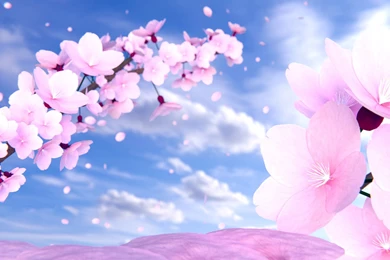 HazMatt's Spring Season Picks