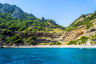 Exotic Desktop Wallpapers And Artwork