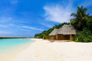 Vector Beach Exotic Hd Place