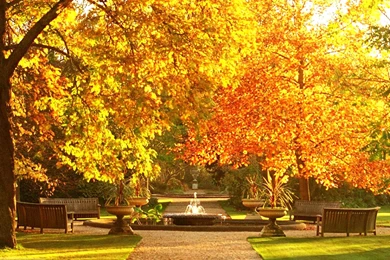 Exotic, Cottage, Wallpaper, , Desktop Wallpapers, Awesome Houses ...