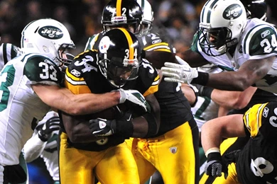 Wolf Yorkshire_Rose Wallpapers (21766595) Fanpop