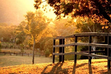 Good Morning With The Sun Rise