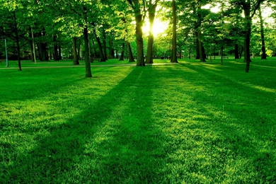 Morning Sun Wallpapers   HD Wallpaper Backgrounds Of Your Choice