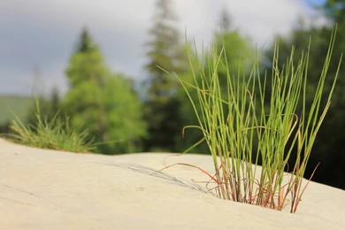 Life Is Beautiful Wallpapers