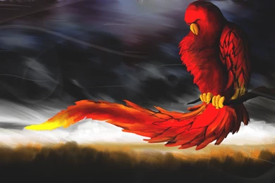 Wallpapers For Computer Good 8095b   Wallpapers HD Fix