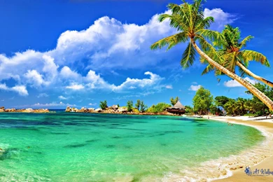 World Beautiful Beaches & Island HD Wallpapers, Images, Pictures ...