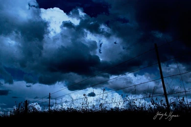 Win 7 Live Wallpapers