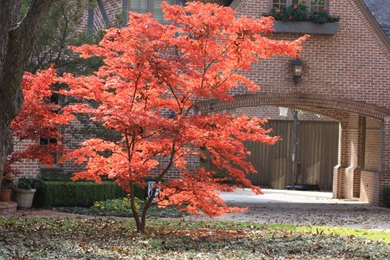 Windows Photo Gallery Wallpapers 210860