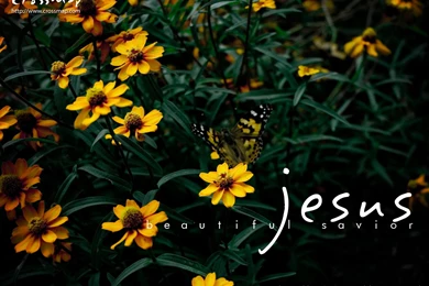 Jesus Beautiful Savior 4