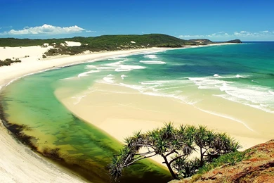 Desktop Wallpapers · Gallery · Nature · Indian Beach