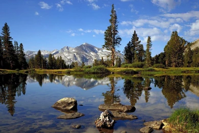 HD Desktop Wallpapers 1600x900 Best HD Desktop Wallpapers 1080p HD ...