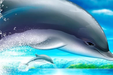 Desktop Wallpapers · Gallery · HD Notebook · Art Dolphins Netbook ...