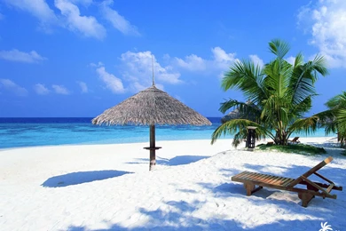 Tropical Beaches Collection (40+)