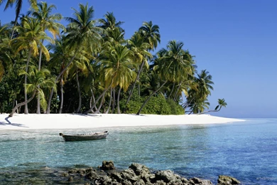 Pics Photos Tropical Wallpapers Desktop Wallpapers