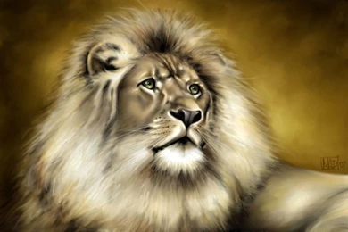 MAJESTIC LION WALLPAPER   (