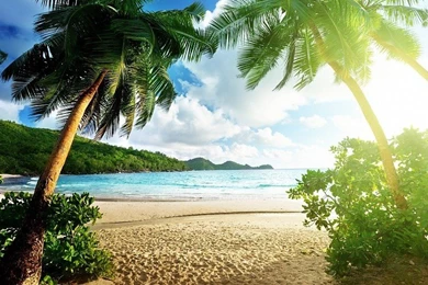 Luxury Summer Holidays On Tropical Island Wallpapers Free Desktop ...