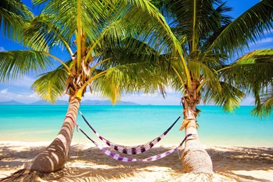 Tropical Island Hammock Wallpapers   Uncalke.com