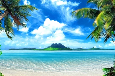 Download Beach Wallpapers Backrounds (3152) Beach
