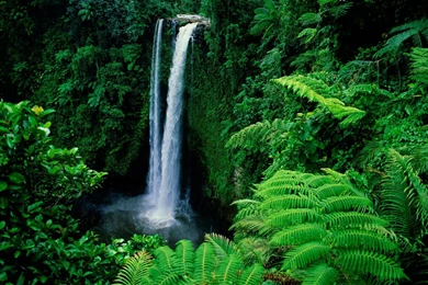 Samoa Wallpapers   Wallpapers Cave